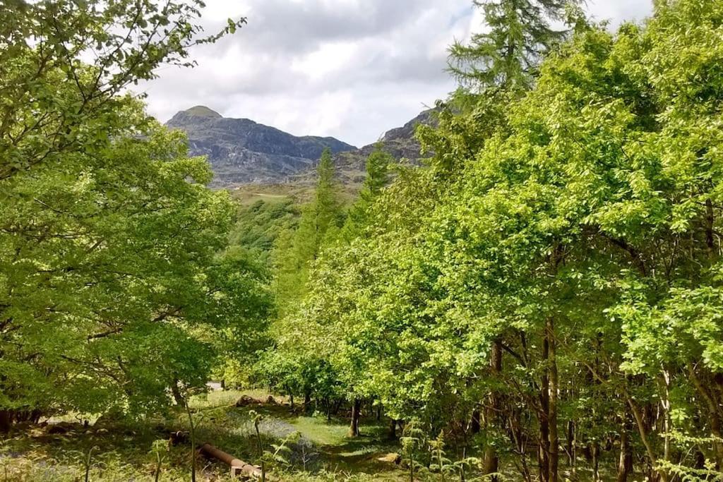 Mountain Walks Straight From The Doorstep Villa Blaenau Ffestiniog Buitenkant foto